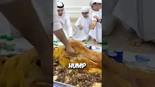 Ever Tried Camel Hump? Here&rsquo;s Why People Love It ✨🍽️
