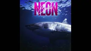 Neon Capital - Open Water