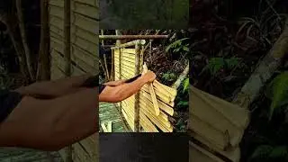 Forest Survival Life, Building a Safe Bamboo Cabin on a Cliffside by the Stream / Camping / Survival