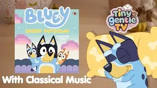 Bluey Story: Daddy Putdown 😴 | Gentle Read-Aloud with Classical Music for Toddlers | Calm Storytime