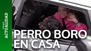 BORO ya está con su FAMILIA