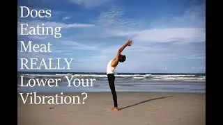 Does Eating Meat REALLY Lower Your Spiritual Vibration?