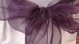 Party Rental Hialeah - Chair Covers & Sashes
