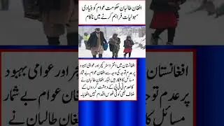 Afghan Government update on Pakistan #pakistan #pakistannews