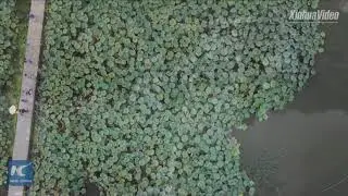 Amazing aerial view of idyllic village in Anhui, China