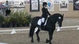 Hilde Fan't Alddjip & Tigger Wright - USDF 3rd Level Freestyle - 2012 CDS Championship