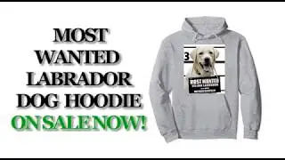 Most Wanted Yellow Labrador Cute Dog Hoodies - Men's, Women's, Kid's - Black, Grey, Dark Heather