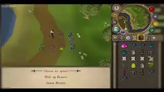 [2017] Runescape Private Server | Cerberus Ps | Brand New Rsps | Top Rsps
