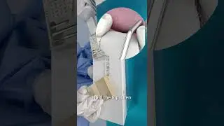 Lingual Bone Tack Holder & Bone Screw Kit | GBR Membrane Fixation Demo
