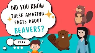 Brilliant Beavers! | Fun Facts About Beavers for Kids