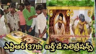 Jr.Ntr Birthday Celebrations 2020 || Jr.Ntr Birthday Celebrations Fans Hungama  || Dandora