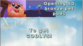 Throwing 50 Bronze pet pods in Overlook Bay Roblox!