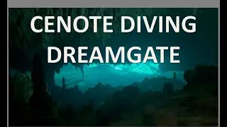 Cenote Diving DREAMGATE&ndash; Spectacular Cavern Dive near Tulum. Buceo en Cenotes con Diving Reality
