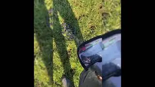 Vanquish 540, what not to dig !