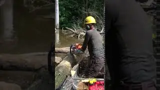 Chainsaw Canoe #1