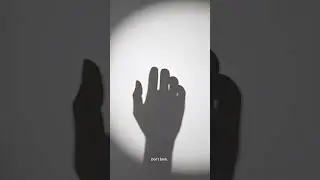 They Almost Touched  Or Did They❤️#shorts #asmr #shadow #satisfying #almosttouch #oddlysatisfying