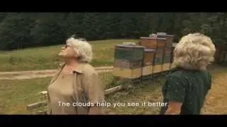 More Than Honey - Excerpt #2