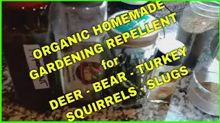 How to Make Natural Bug Pest Deer Turkey Bear Gardening Pesticide and Irritant