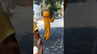 teddy bear dance and public relations 🤣