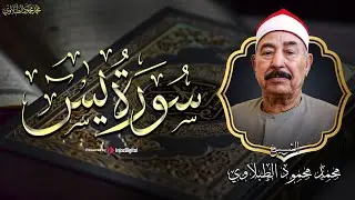 من أجمل ما قرآ الشيخ الطبلاوي | سورة يس