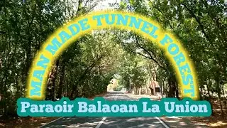 MAN MADE TUNNEL FOREST IN PARAOIR BALAOAN LA UNION @Marielou Baldolim