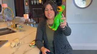 These are the 4 dog toys that my dogs DID NOT destroy this year! #dogs #dogtoy #puppy