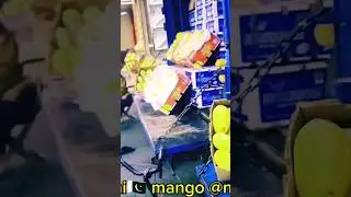 AlAweer Pakistani mango