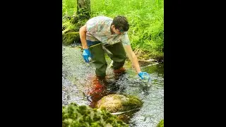 What We Should Know About PFAS in Hancock County:  Insights from the Shaw Institute