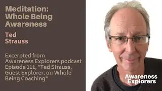 Meditation: Whole Being Awareness - from Awareness Explorers Ep. 111, 