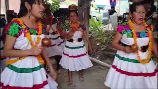 Danza de Inditas Santa Teresa de Jesús de Pahuatlan Hgo, informes al 7717025854