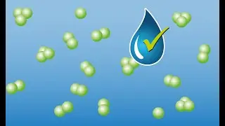 KRONEN Citrocide: Chlorine-Free Peracetic Acid Solution &ndash; Safe Fruit, Vegetable & Salad Processing