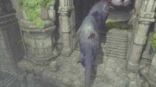 The Last Guardian Fail