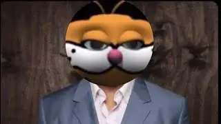 Garfield&rsquo;s story/Internet pitstop