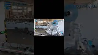Automatic individual candy sorting and high - speed packaging machine