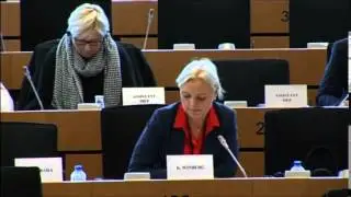 The EU seems to have dared to apply a real strategy which could end up being counter-productive