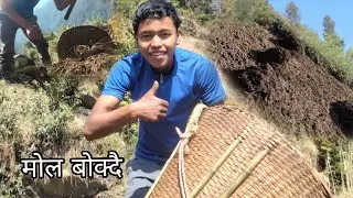 मोल बोक्दै है।। यसरी राख्यको छु है त माहुरी।। 