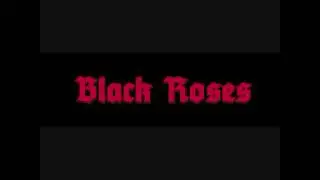 Black Roses (Swe) - Wings Of Fire
