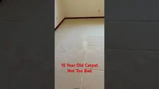 Extreme Severe Wear, Carpet Cleaning 😀 #shorts #carpetcleaning #carpetcleaners #lakegeneva