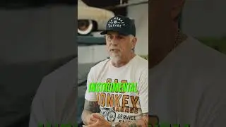 The Return Of The Monkey: An Epic Fast N Loud Reunion