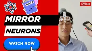 Mirror Neurons: Why You Become Who You Watch (Science Explained!)
