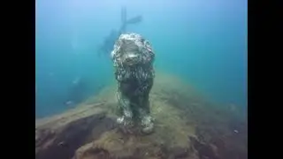 Scuba Squad Divers Local Diving