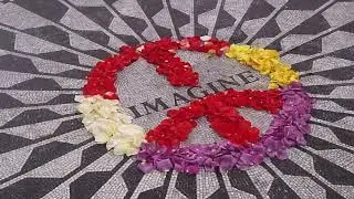 Imagine (cover a due voci di Stefano Centonze) - Home Studio