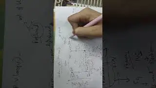 Cardiac cycle and Pressure volume loops