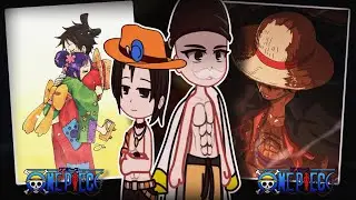 Past Whitebeard Pirates React To Luffy | Part 3/7 | ||Onepiece||