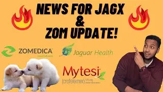 ZOM (Zomedica) And JAGX (Jaguar Health) Updates! 📈 Pharmacist Talks Pharma Penny Stocks! Buy Now? 🔥