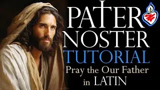 How to Pray the Our Father / Lord's Prayer in Latin : Pater Noster Tutorial #Catholic #Latin