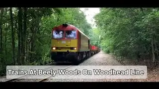 Trains At Beely Woods On Woodhead Line 