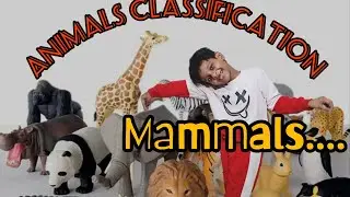 MAMMALS