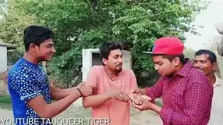 Show Baazi ||Tauqueer Tiger||