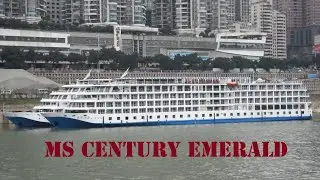 MS Century Emerald